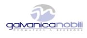 Galvanica logo